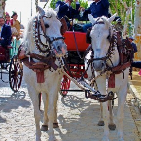Feria-de-Abril-Sevilla-2012-horses
