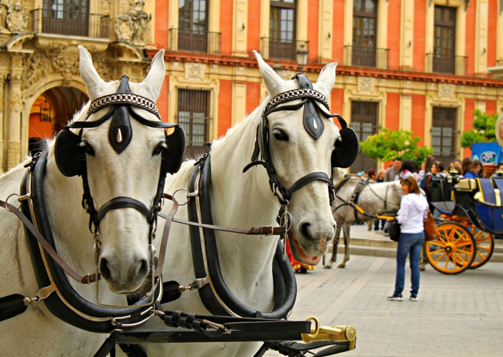 Where in Spain Wednesday – Sevilla’s Plaza del Triunfo