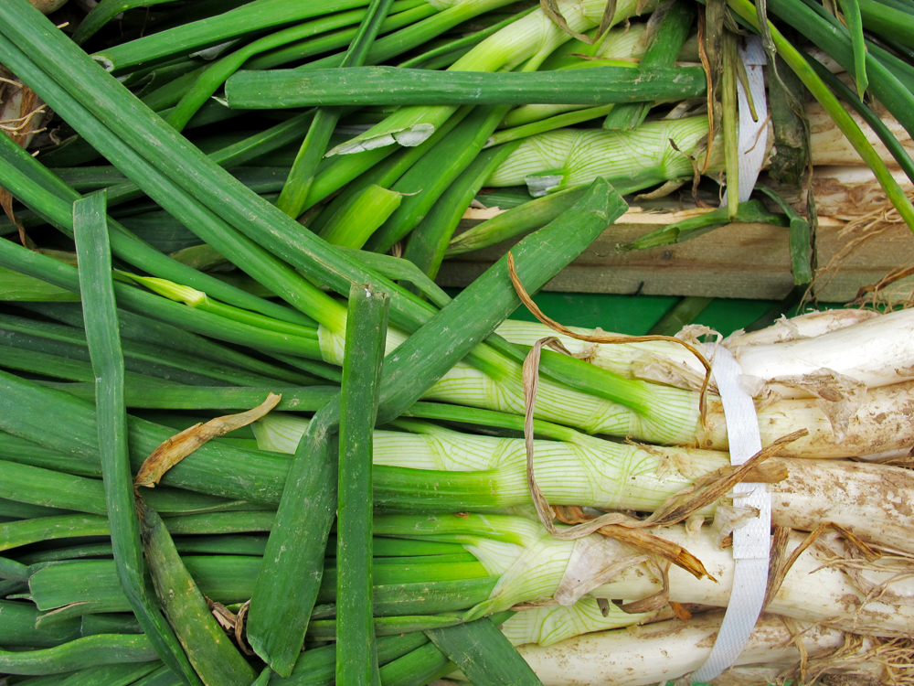 The Calcotada: Why Catalans Love Eating Burned Onions